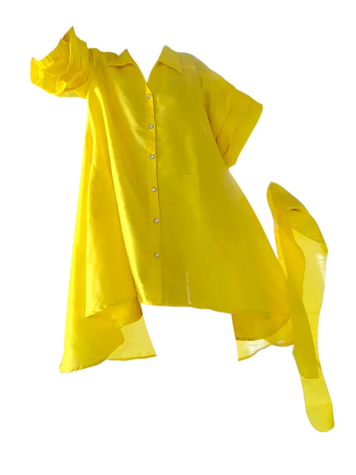 Swing Dress w/Ruffle Sleeve