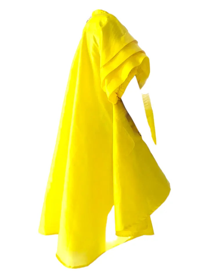 Swing Dress w/Ruffle Sleeve