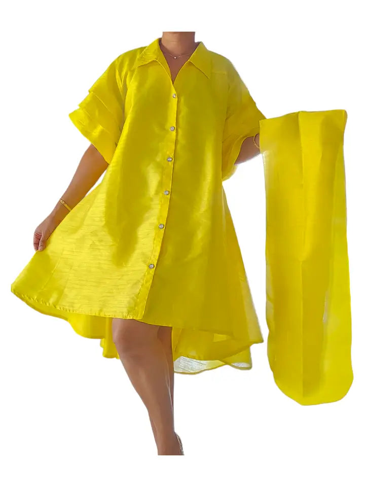 Swing Dress w/Ruffle Sleeve