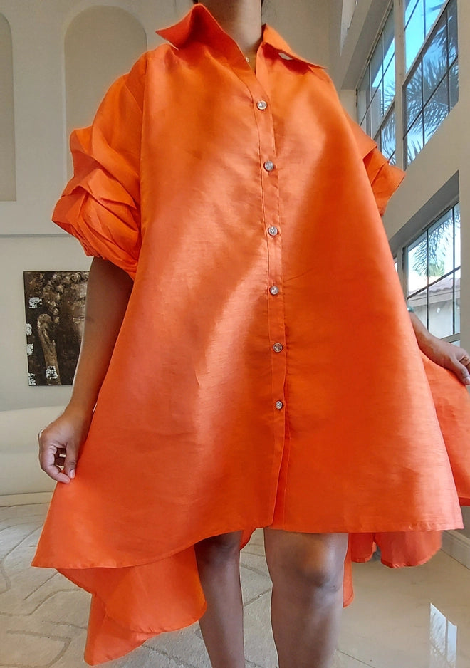 Swing Dress w/Ruffle Sleeve